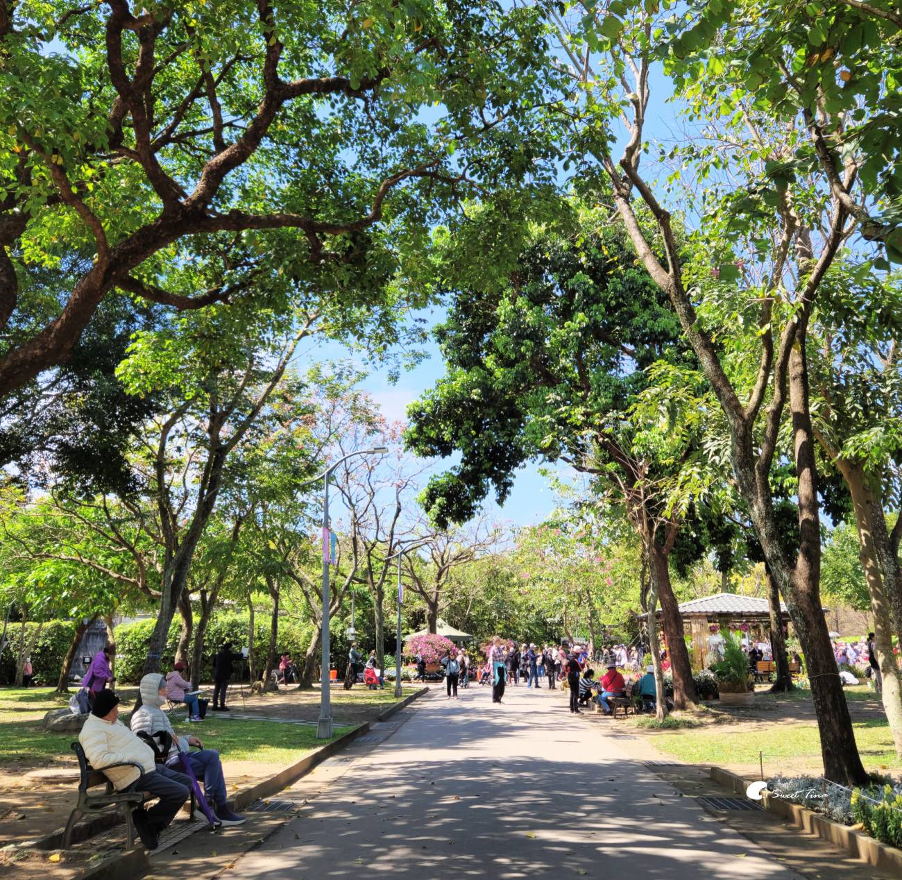 2026台北杜鵑花季｜大安森林公園賞杜鵑花、繡球花夢幻花海