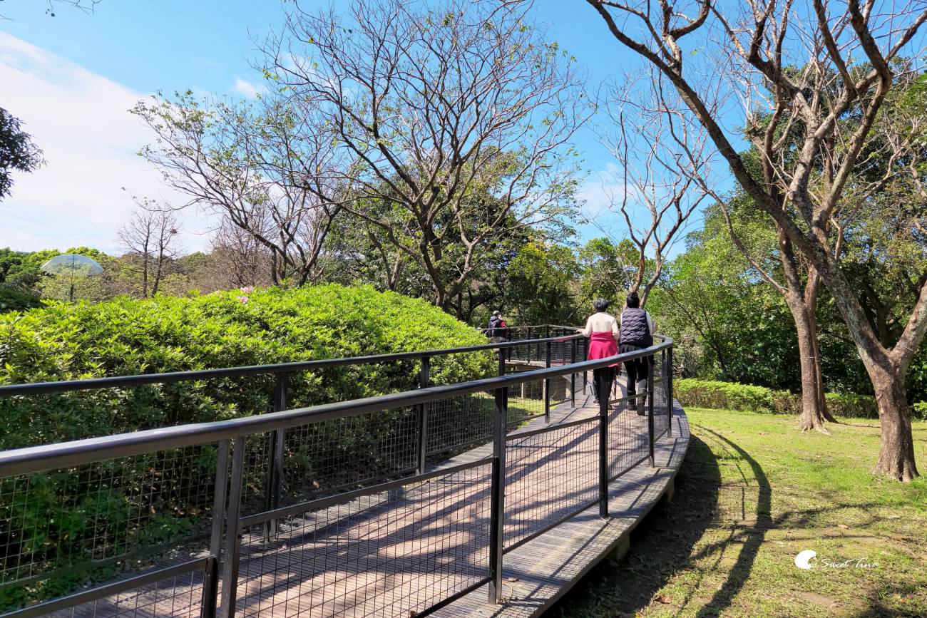 2026台北杜鵑花季｜大安森林公園賞杜鵑花、繡球花夢幻花海