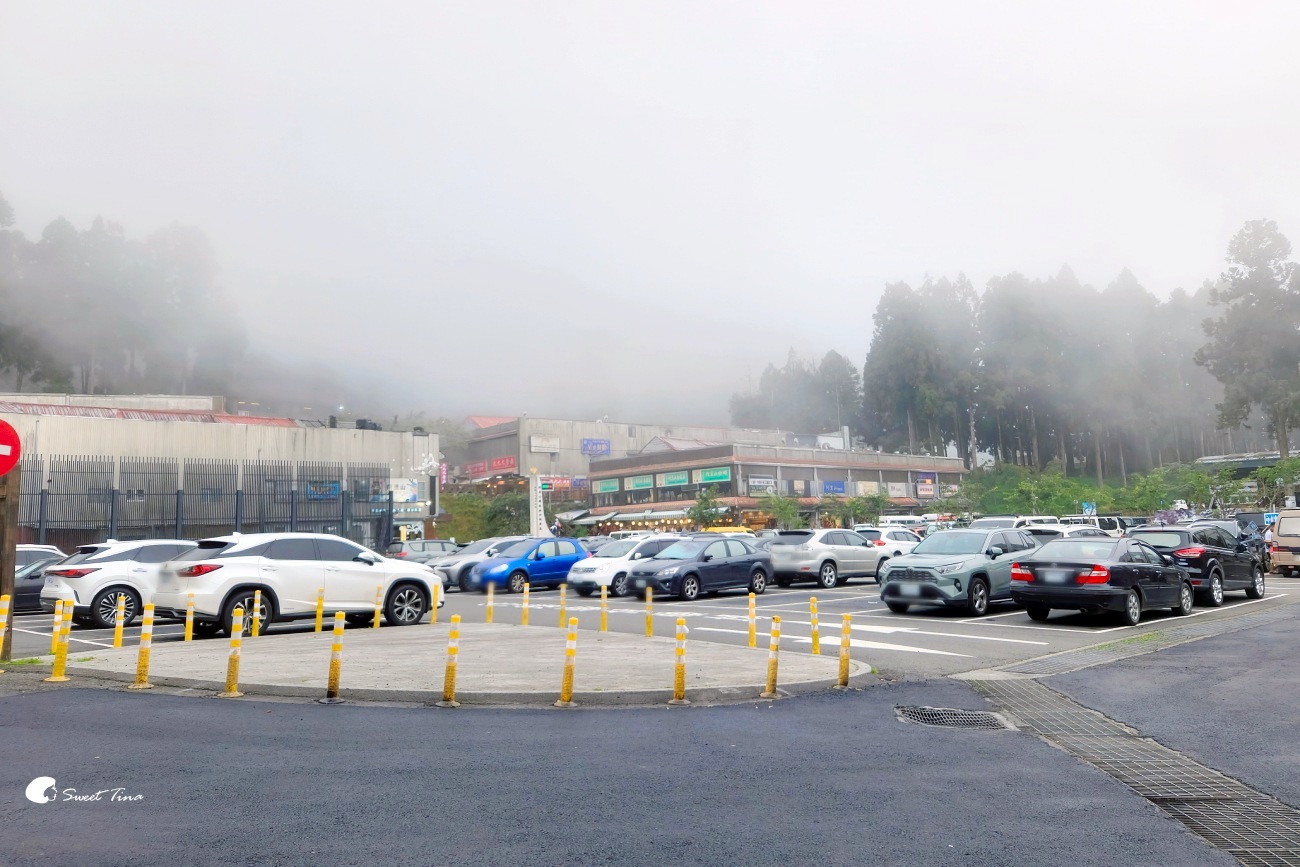 阿里山森林遊樂區|走進森林步道、搭乘小火車,感受四季不同的山林風光 阿里山森林遊樂區|走進森林步道、搭乘小火車,感受四季不同的山林風光