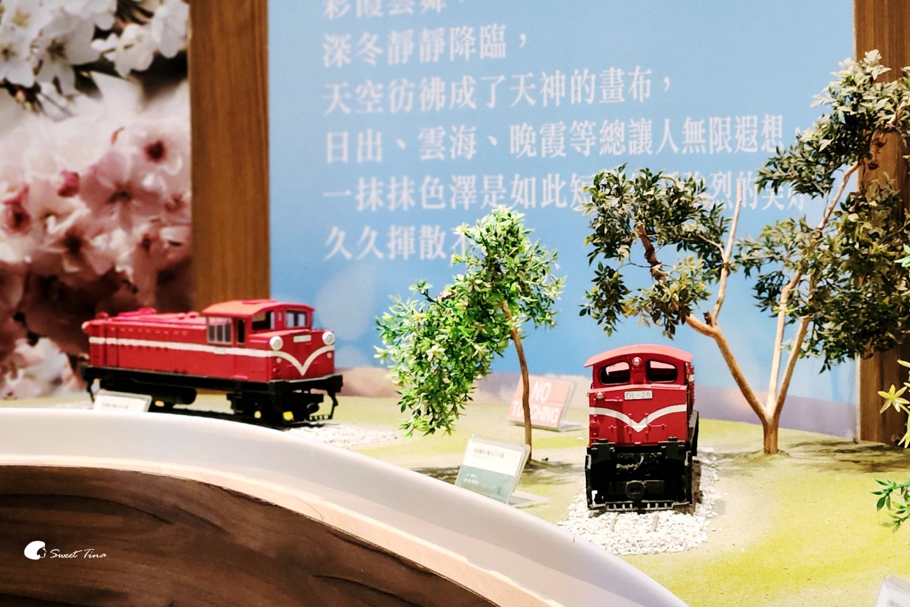阿里山森林遊樂區|走進森林步道、搭乘小火車,感受四季不同的山林風光 阿里山森林遊樂區|走進森林步道、搭乘小火車,感受四季不同的山林風光