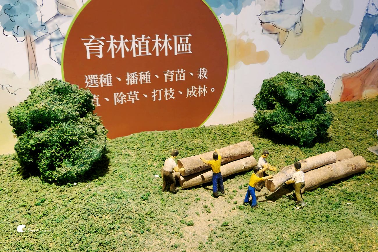 阿里山森林遊樂區|走進森林步道、搭乘小火車,感受四季不同的山林風光 阿里山森林遊樂區|走進森林步道、搭乘小火車,感受四季不同的山林風光