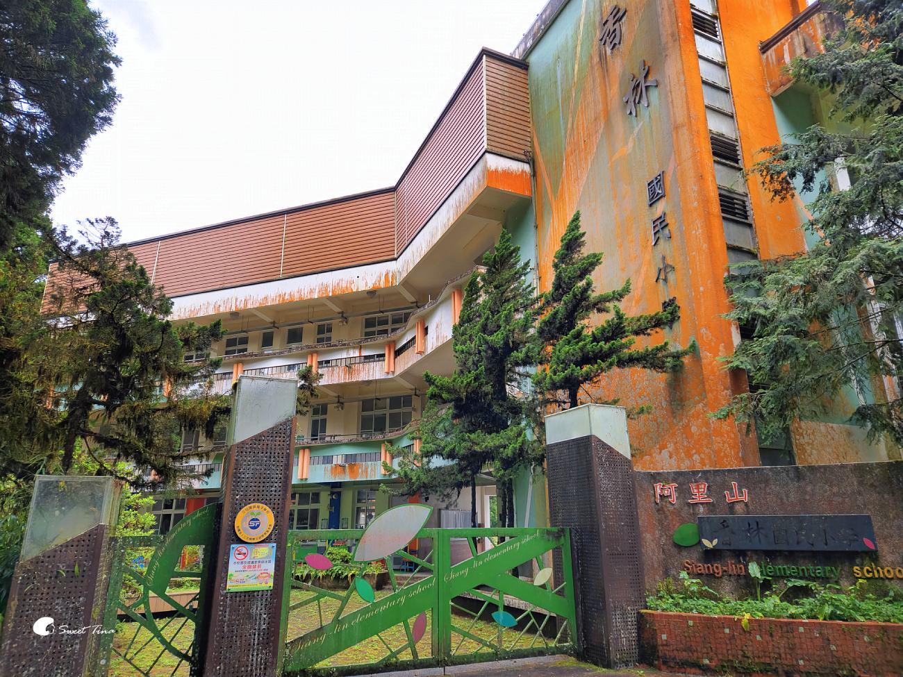 阿里山森林遊樂區|走進森林步道、搭乘小火車,感受四季不同的山林風光 阿里山森林遊樂區|走進森林步道、搭乘小火車,感受四季不同的山林風光