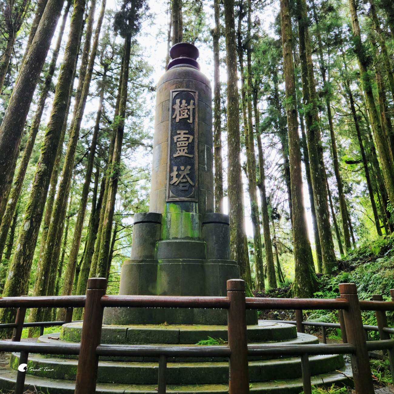 阿里山森林遊樂區|走進森林步道、搭乘小火車,感受四季不同的山林風光 阿里山森林遊樂區|走進森林步道、搭乘小火車,感受四季不同的山林風光