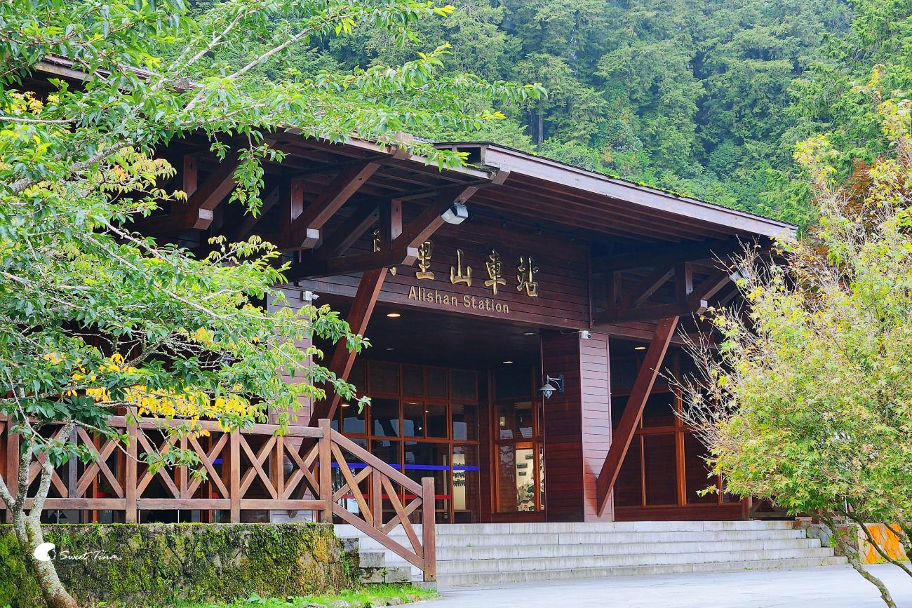 阿里山森林遊樂區|走進森林步道、搭乘小火車,感受四季不同的山林風光 阿里山森林遊樂區|走進森林步道、搭乘小火車,感受四季不同的山林風光