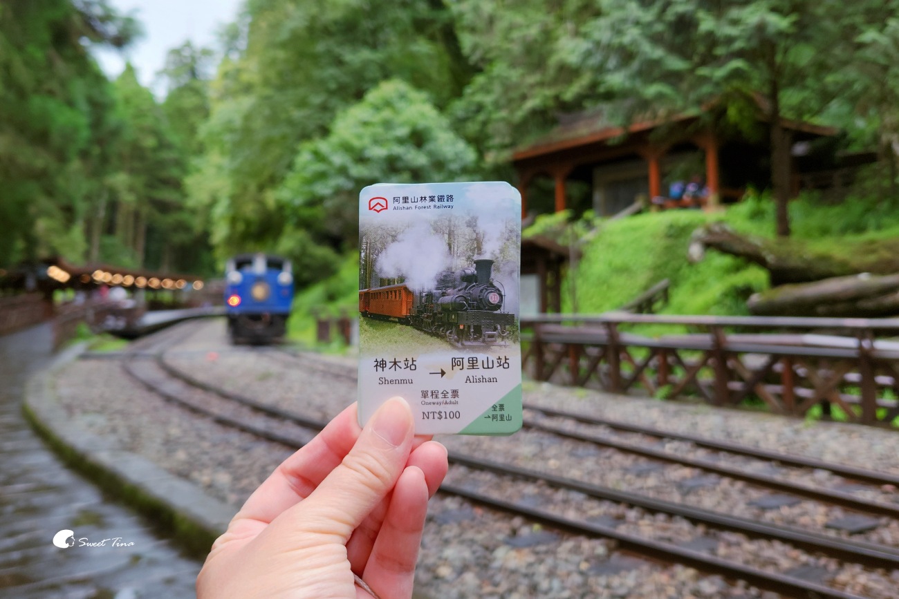 阿里山森林遊樂區|走進森林步道、搭乘小火車,感受四季不同的山林風光 阿里山森林遊樂區|走進森林步道、搭乘小火車,感受四季不同的山林風光
