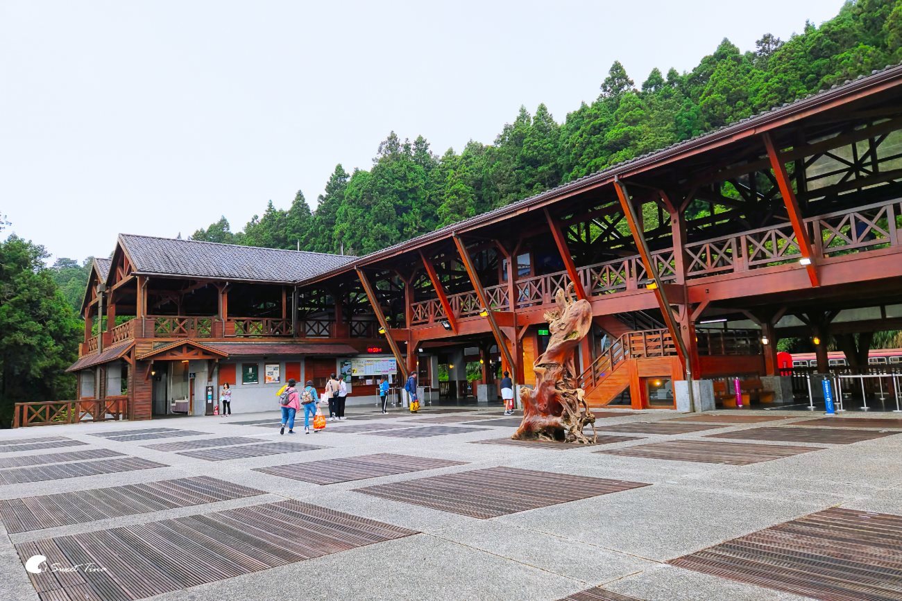 阿里山森林遊樂區|走進森林步道、搭乘小火車,感受四季不同的山林風光 阿里山森林遊樂區|走進森林步道、搭乘小火車,感受四季不同的山林風光