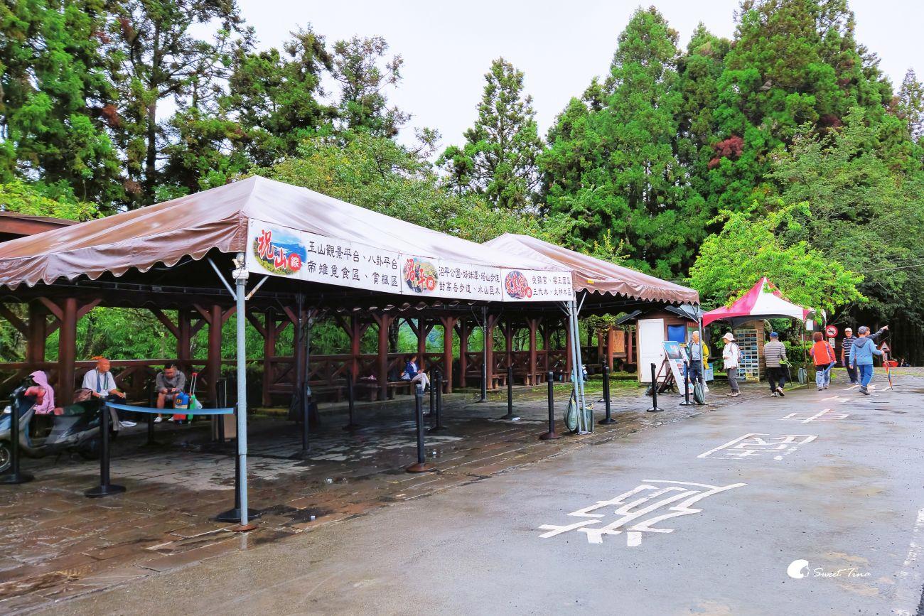 阿里山森林遊樂區|走進森林步道、搭乘小火車,感受四季不同的山林風光 阿里山森林遊樂區|走進森林步道、搭乘小火車,感受四季不同的山林風光