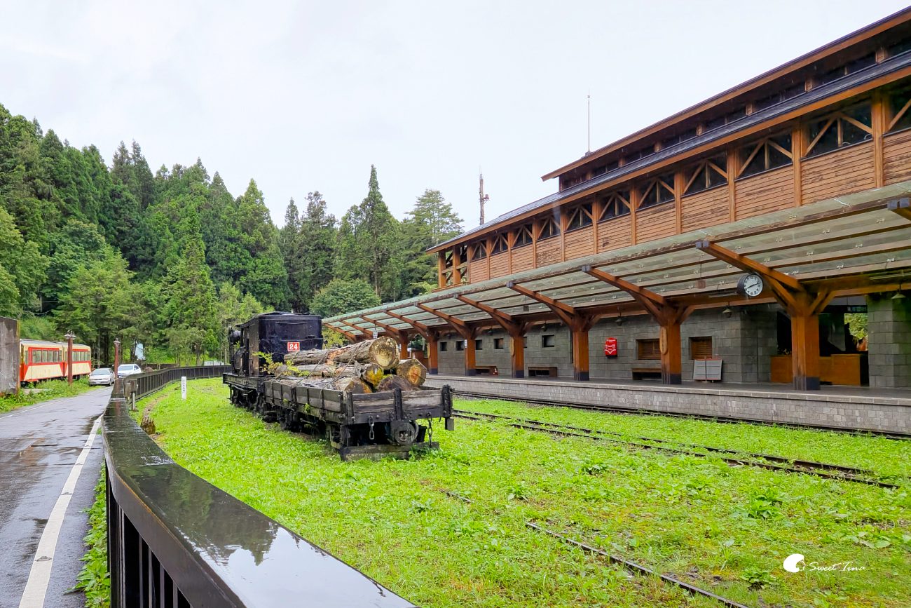 阿里山森林遊樂區|走進森林步道、搭乘小火車,感受四季不同的山林風光 阿里山森林遊樂區|走進森林步道、搭乘小火車,感受四季不同的山林風光