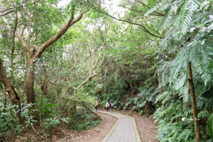 網站近期文章：【翠山步道】台北景點 – 輕鬆步行的森林系步道，可串接碧溪步道和小溪頭環狀步道 / 士林廢棄警用靶場變身