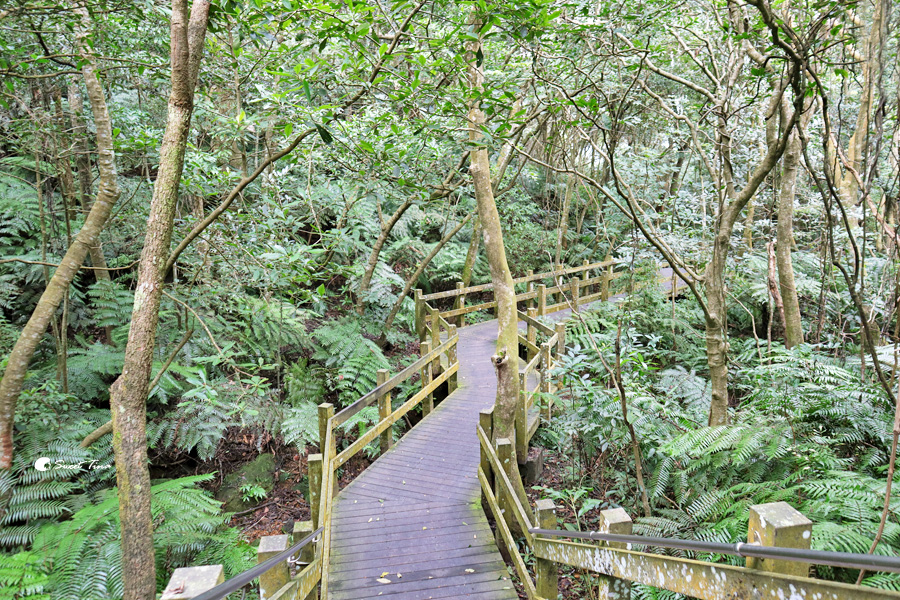 小溪頭環狀步道