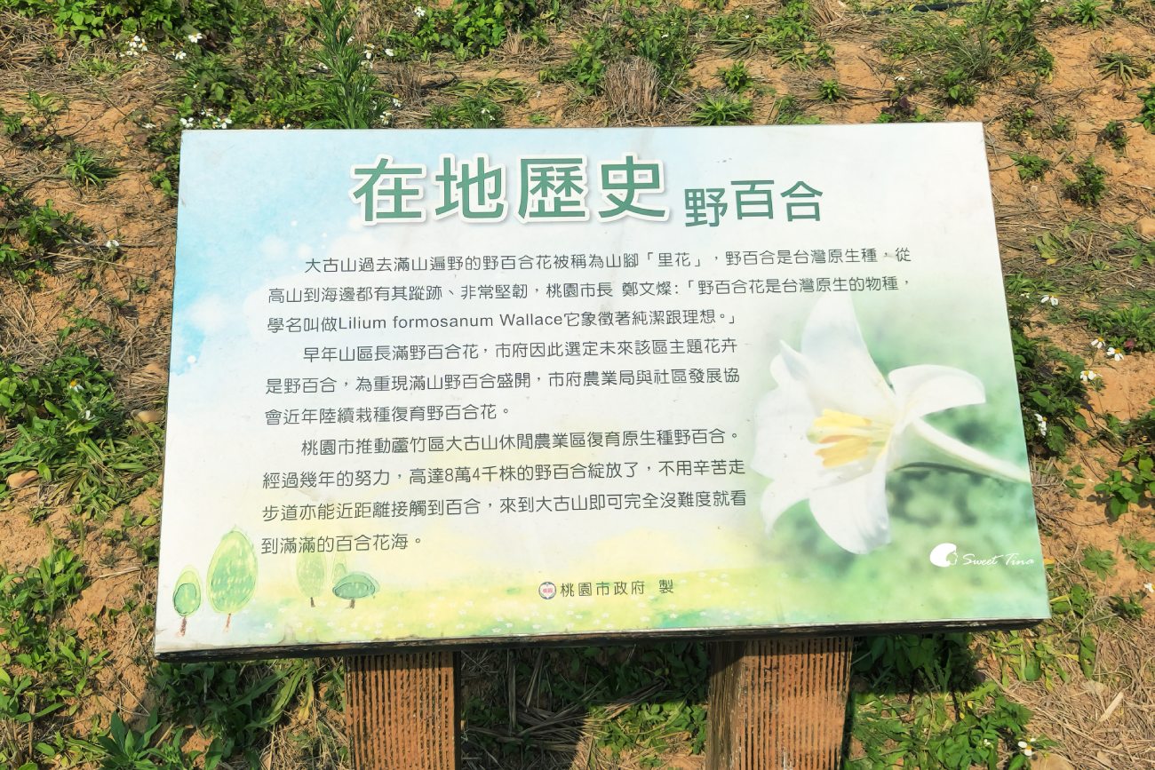 大古山登山步道公園