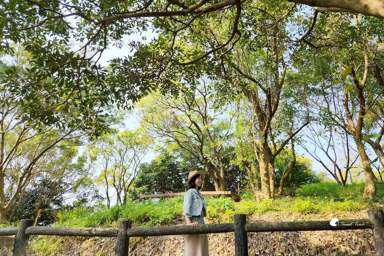 桃園大古山登山步道公園｜輕鬆散步景點，白天夜景都好美