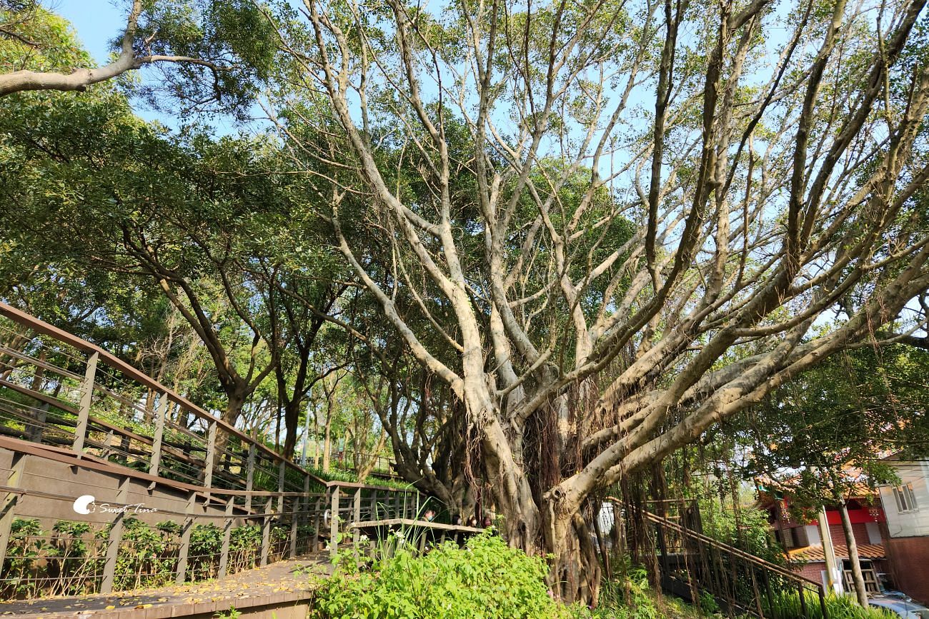 大古山登山步道公園