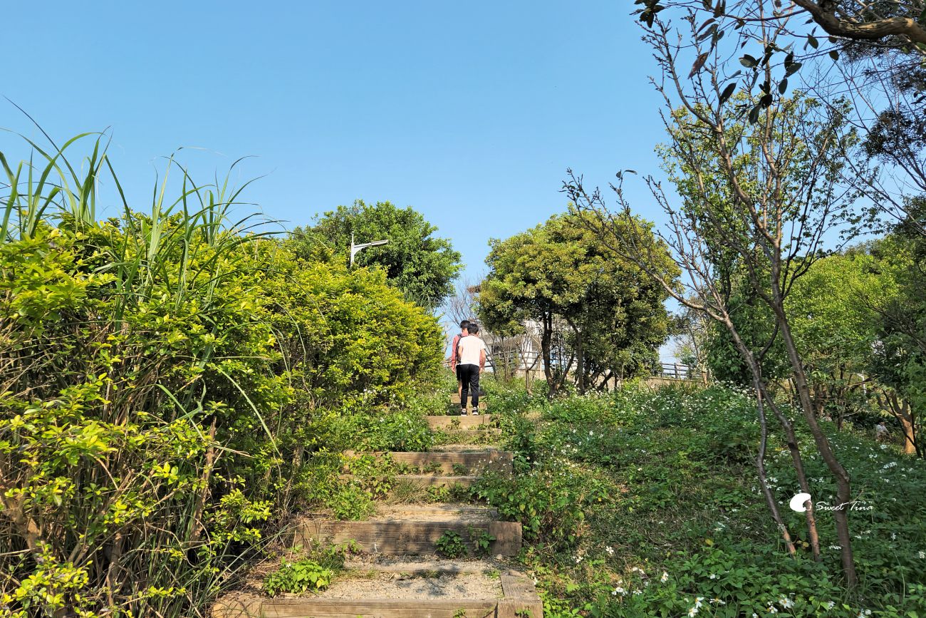 大古山登山步道公園
