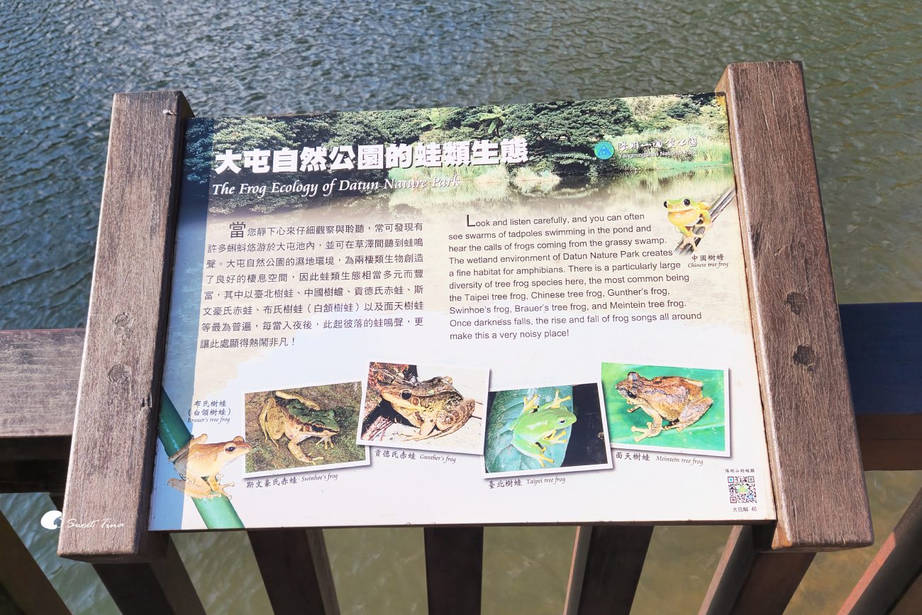 大屯自然公園｜陽明山景點，享受湖光山色的環湖步道