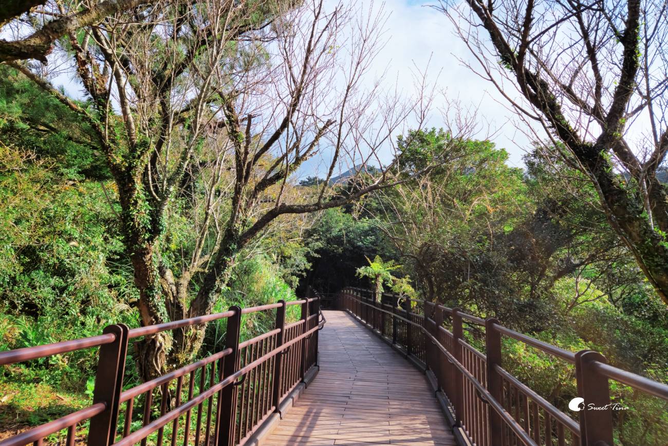 大屯自然公園｜陽明山景點，享受湖光山色的環湖步道