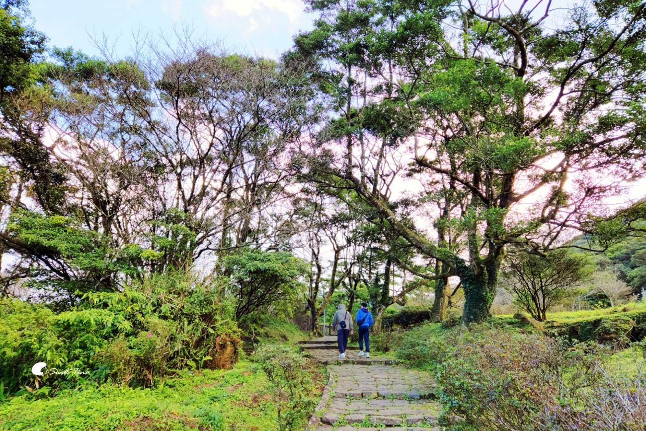 大屯自然公園｜陽明山景點，享受湖光山色的環湖步道