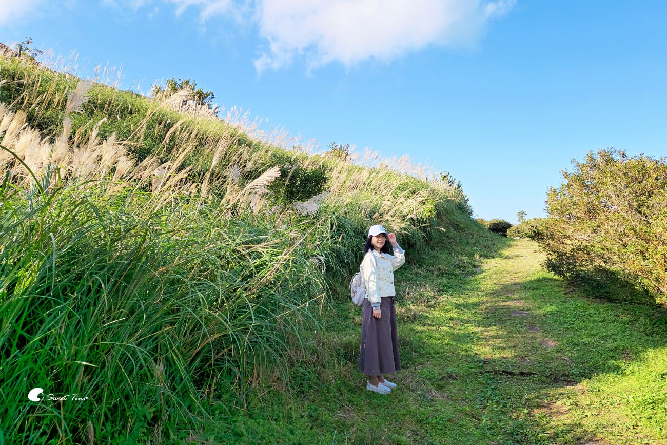 大屯自然公園｜陽明山景點，享受湖光山色的環湖步道