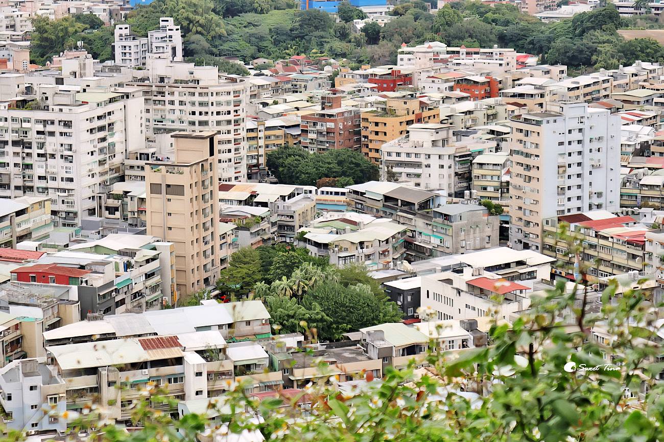 富陽自然生態公園|捷運就能到的城市綠洲,生態景觀與101美景一次擁有 富陽自然生態公園|捷運就能到的城市綠洲,生態景觀與101美景一次擁有