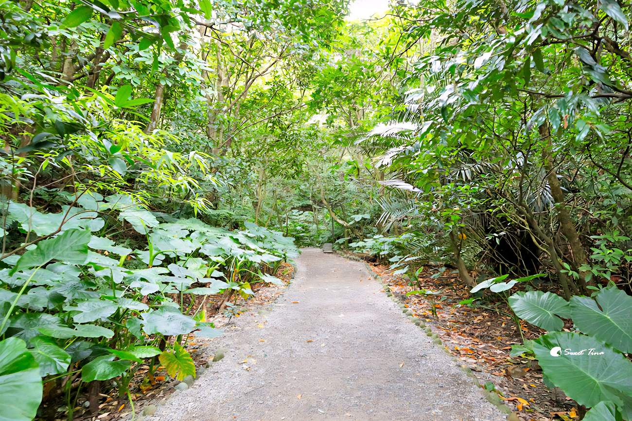 富陽自然生態公園|捷運就能到的城市綠洲,生態景觀與101美景一次擁有 富陽自然生態公園|捷運就能到的城市綠洲,生態景觀與101美景一次擁有