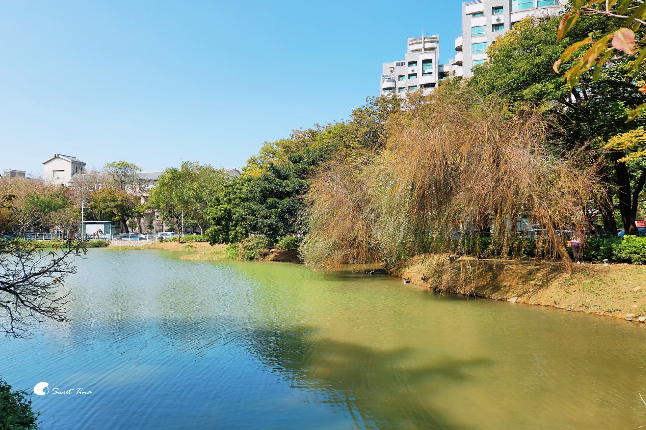新竹公園｜麗池畔風光、動物園、歷史建築，親子遊好去處