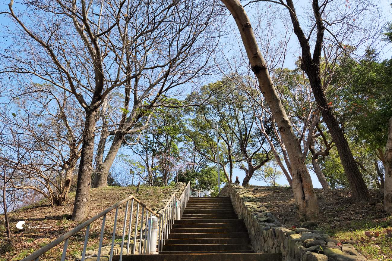 新竹公園｜麗池畔風光、動物園、歷史建築，親子遊好去處