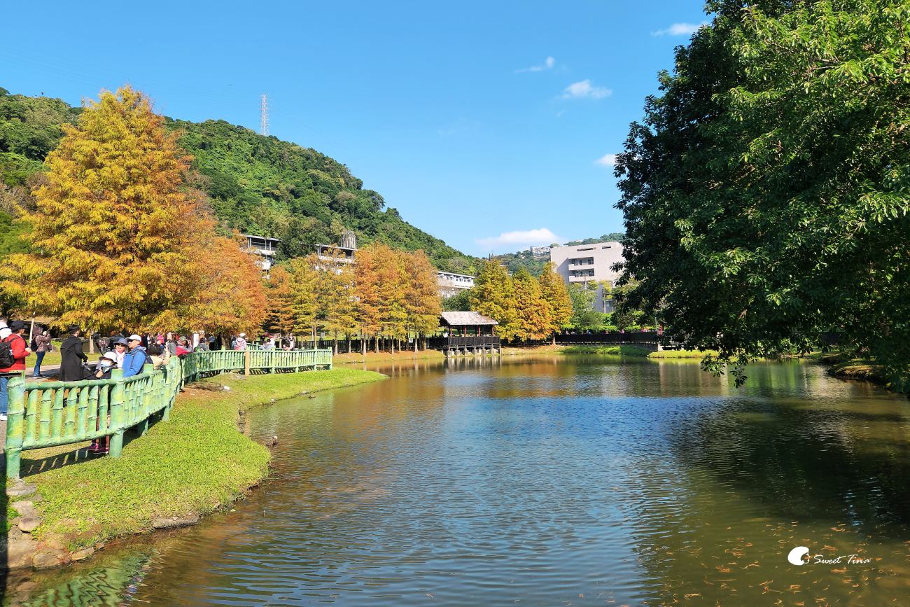 原住民文化主題公園｜台北落羽松推薦，池畔倒影超美