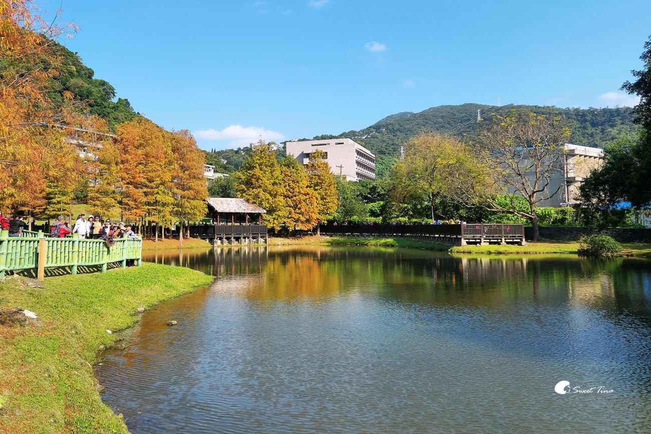 原住民文化主題公園｜台北落羽松推薦，池畔倒影超美