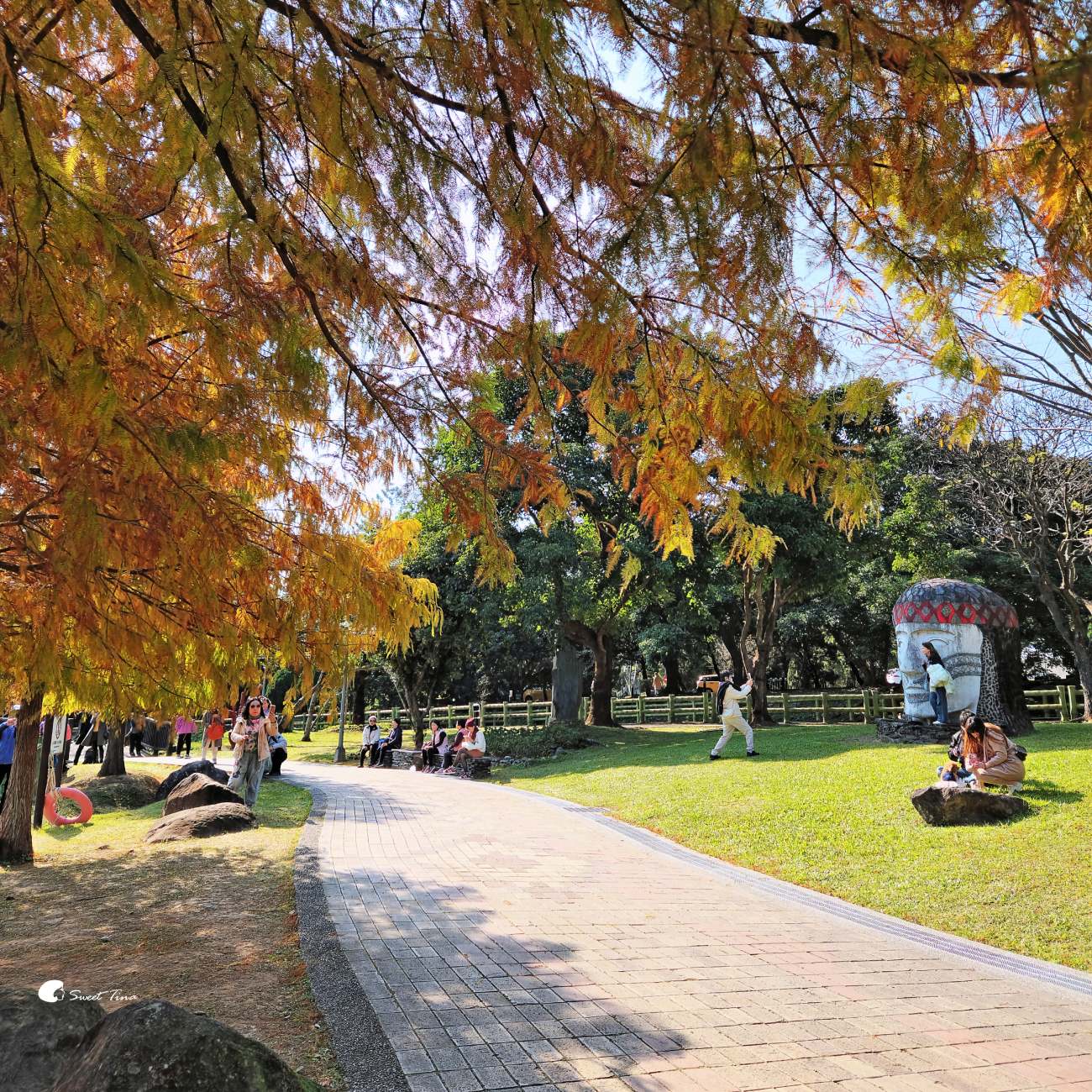 原住民文化主題公園｜台北落羽松推薦，池畔倒影超美