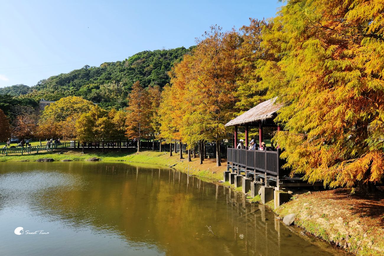 原住民文化主題公園｜台北落羽松推薦，池畔倒影超美