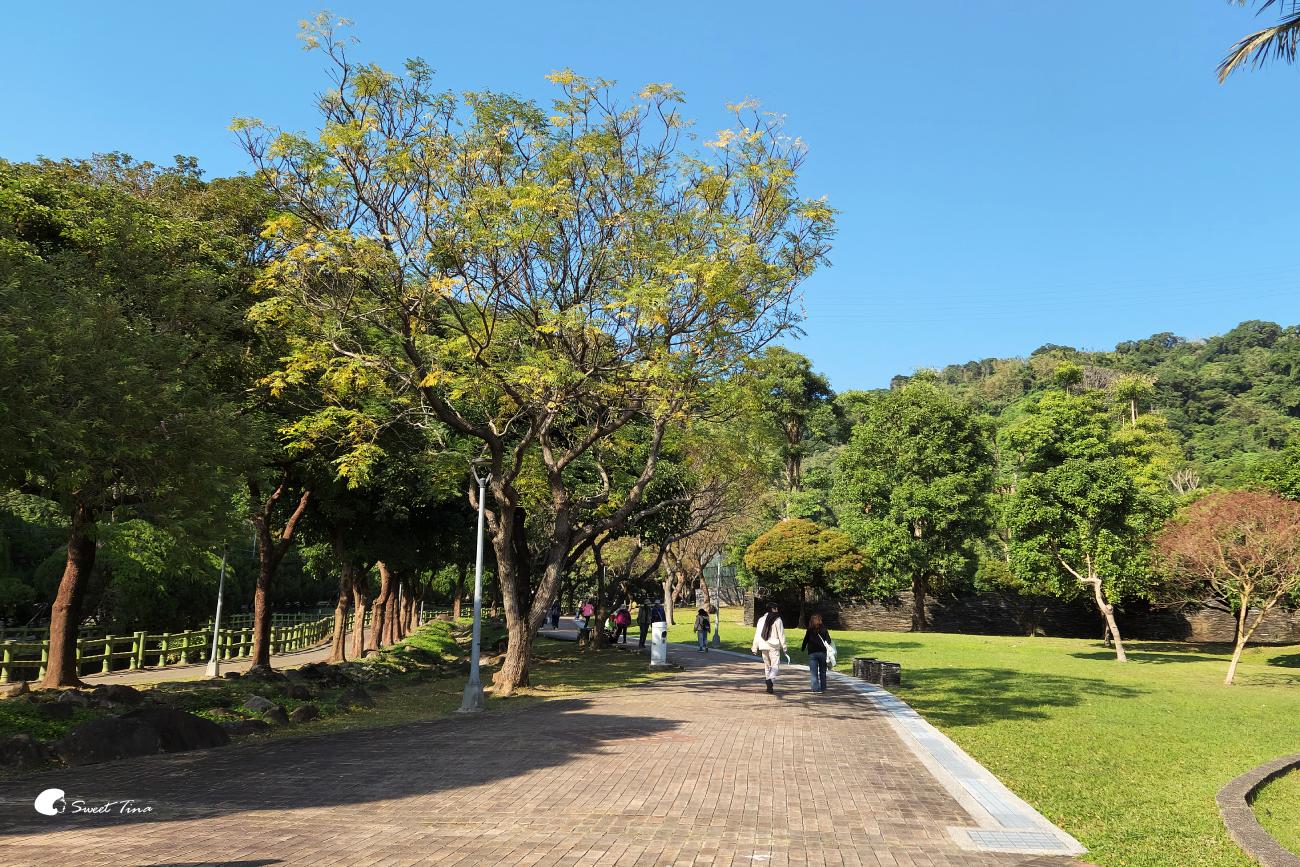 原住民文化主題公園｜台北落羽松推薦，池畔倒影超美