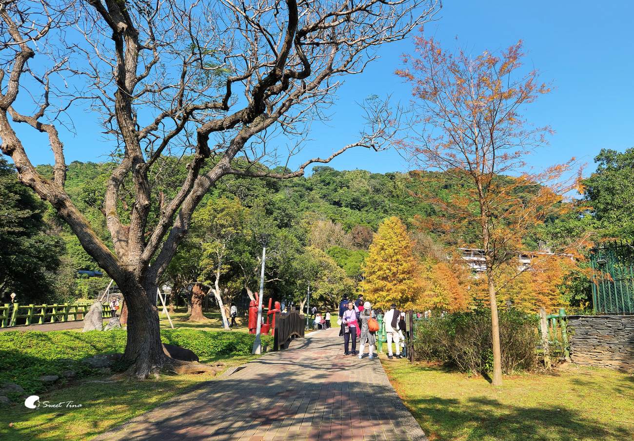 原住民文化主題公園｜台北落羽松推薦，池畔倒影超美