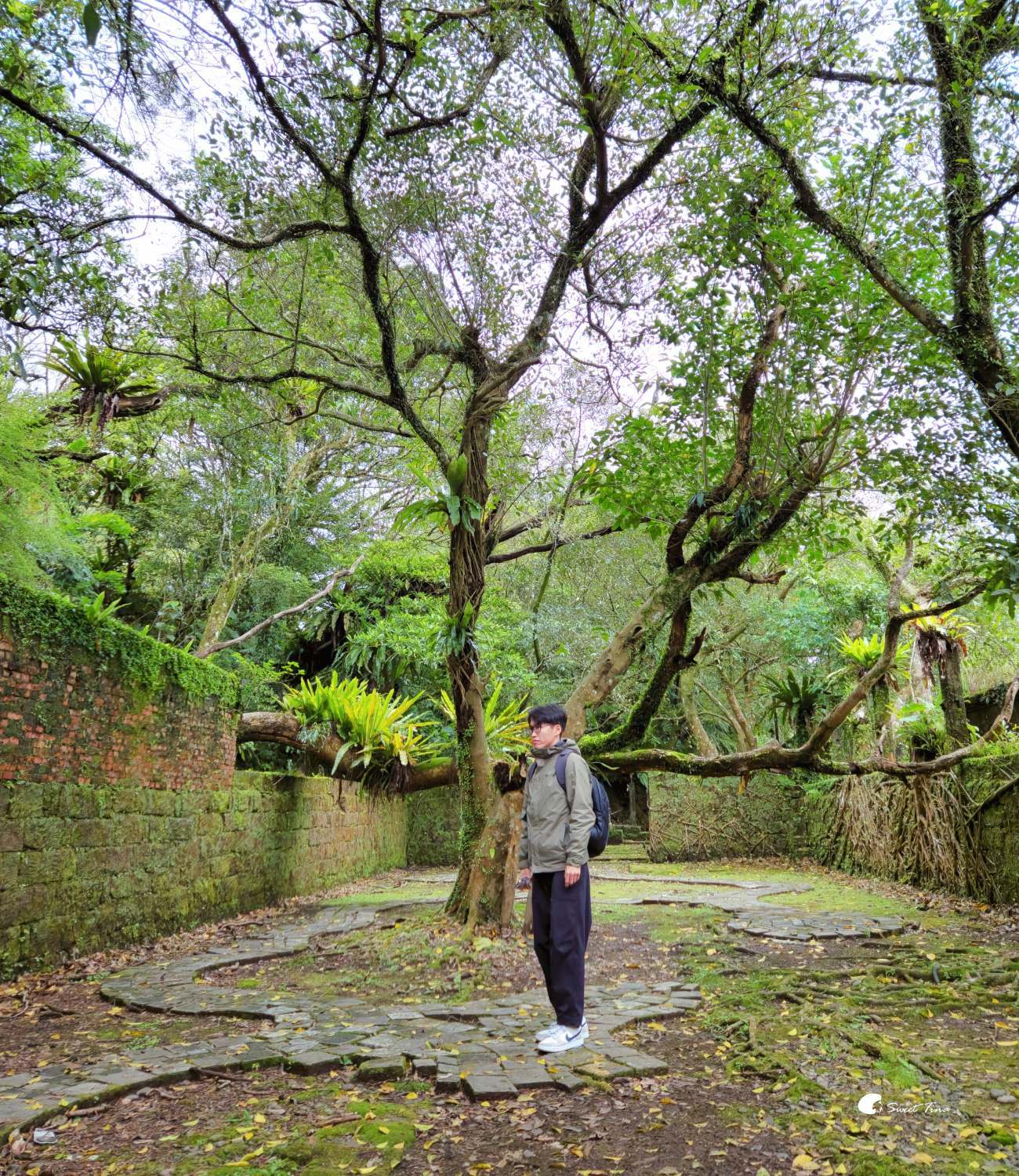 台北近郊小旅行 | 菁桐老街一日遊這樣玩! 台北近郊小旅行 | 菁桐老街一日遊這樣玩!