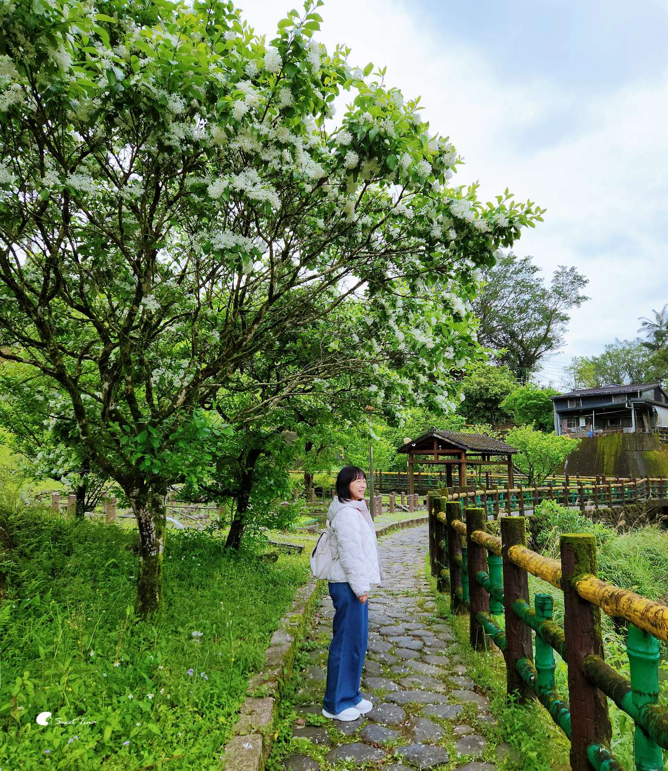 台北近郊小旅行 | 菁桐老街一日遊這樣玩! 台北近郊小旅行 | 菁桐老街一日遊這樣玩!