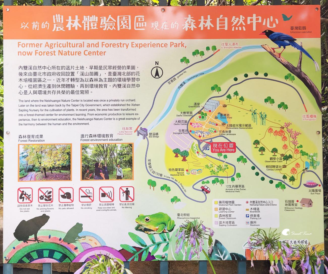 內雙溪自然中心愛情花季|台北賞花景點推薦,漫步森林欣賞浪漫百子蓮 內雙溪自然中心愛情花季|台北賞花景點推薦,漫步森林欣賞浪漫百子蓮