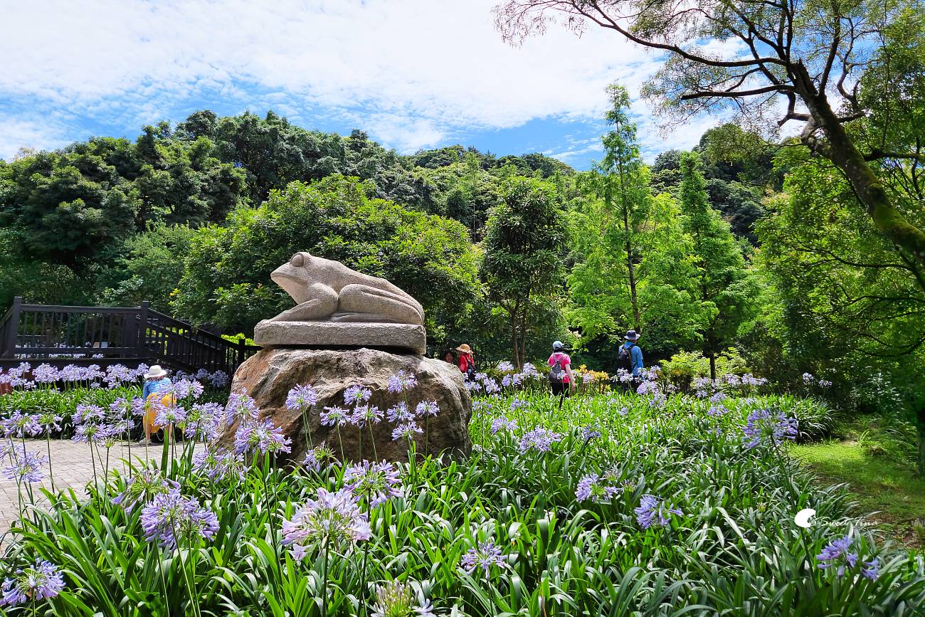 內雙溪自然中心愛情花季|台北賞花景點推薦,漫步森林欣賞浪漫百子蓮 內雙溪自然中心愛情花季|台北賞花景點推薦,漫步森林欣賞浪漫百子蓮