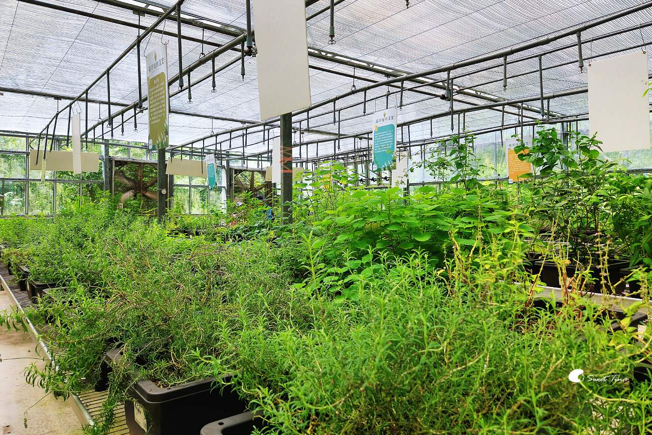 內雙溪自然中心愛情花季|台北賞花景點推薦,漫步森林欣賞浪漫百子蓮 內雙溪自然中心愛情花季|台北賞花景點推薦,漫步森林欣賞浪漫百子蓮