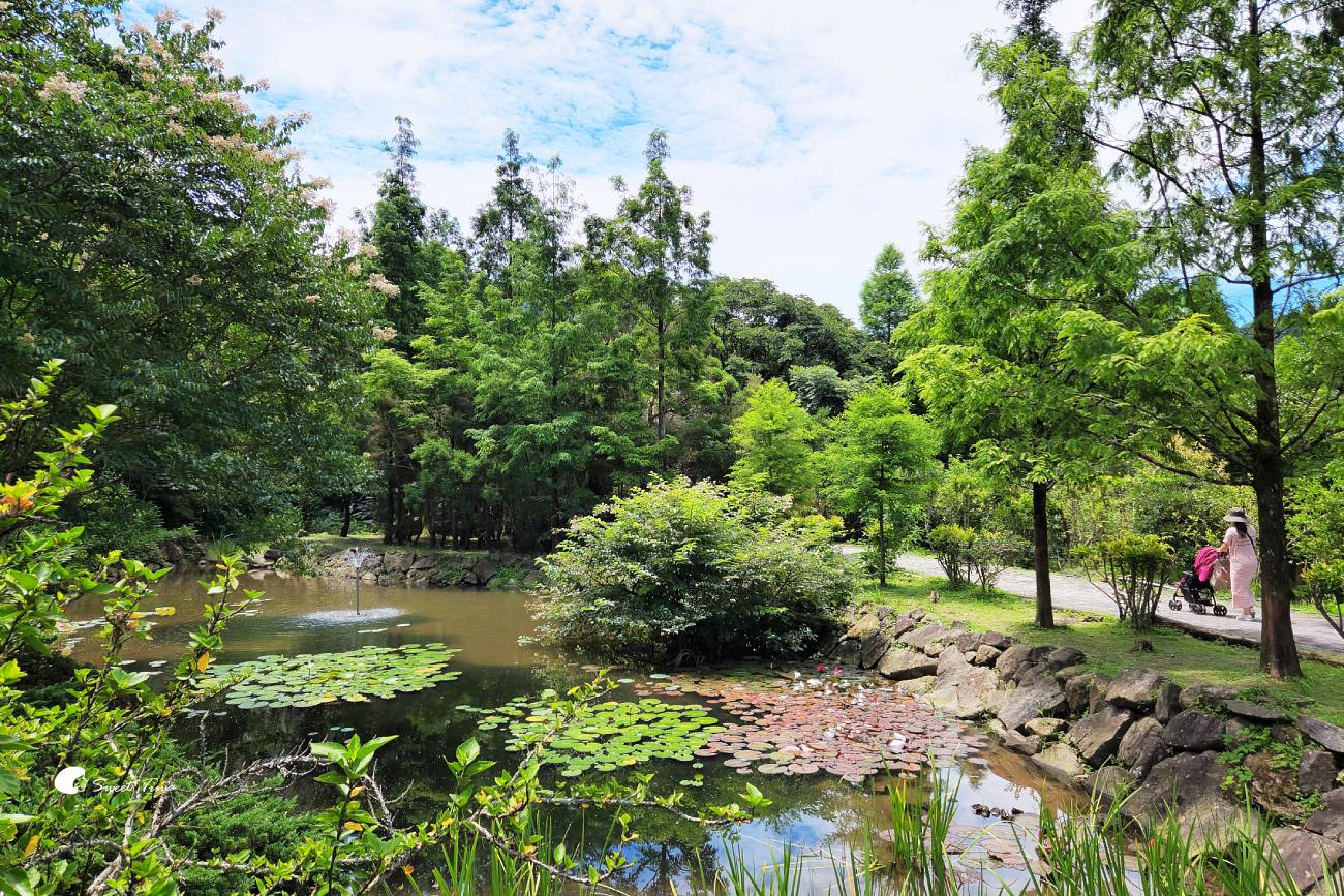 內雙溪自然中心愛情花季|台北賞花景點推薦,漫步森林欣賞浪漫百子蓮 內雙溪自然中心愛情花季|台北賞花景點推薦,漫步森林欣賞浪漫百子蓮