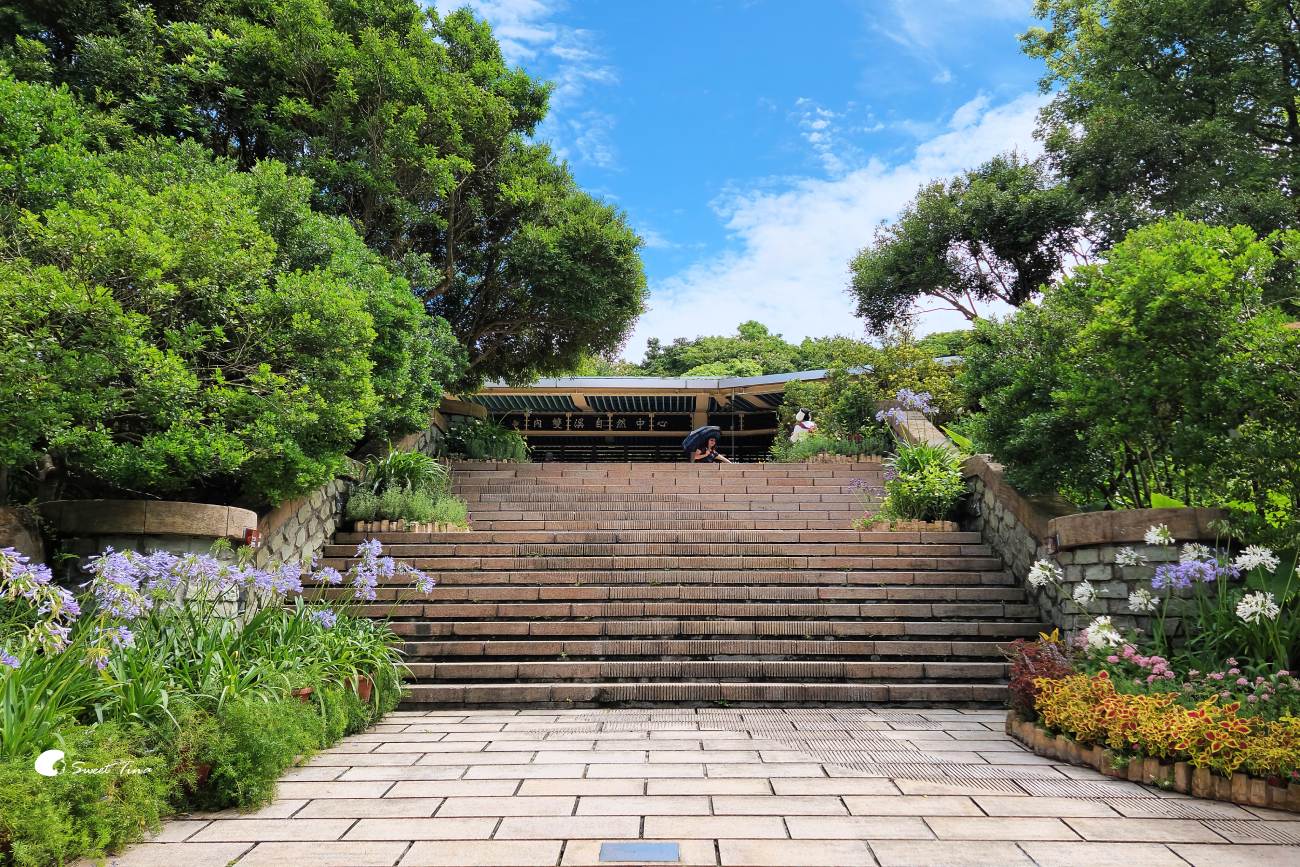 內雙溪自然中心愛情花季|台北賞花景點推薦,漫步森林欣賞浪漫百子蓮 內雙溪自然中心愛情花季|台北賞花景點推薦,漫步森林欣賞浪漫百子蓮