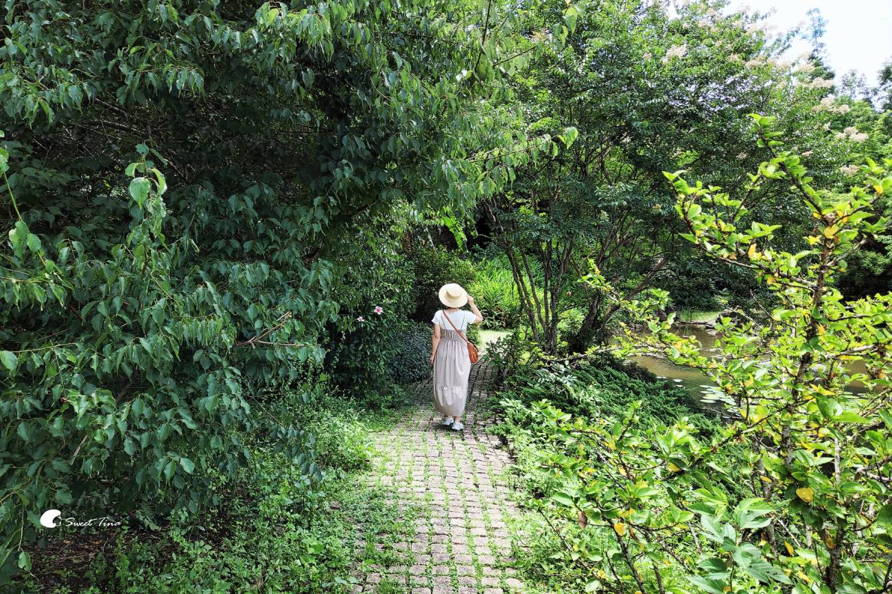 內雙溪自然中心愛情花季|台北賞花景點推薦,漫步森林欣賞浪漫百子蓮 內雙溪自然中心愛情花季|台北賞花景點推薦,漫步森林欣賞浪漫百子蓮