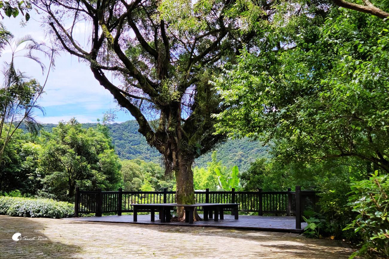 內雙溪自然中心愛情花季|台北賞花景點推薦,漫步森林欣賞浪漫百子蓮 內雙溪自然中心愛情花季|台北賞花景點推薦,漫步森林欣賞浪漫百子蓮