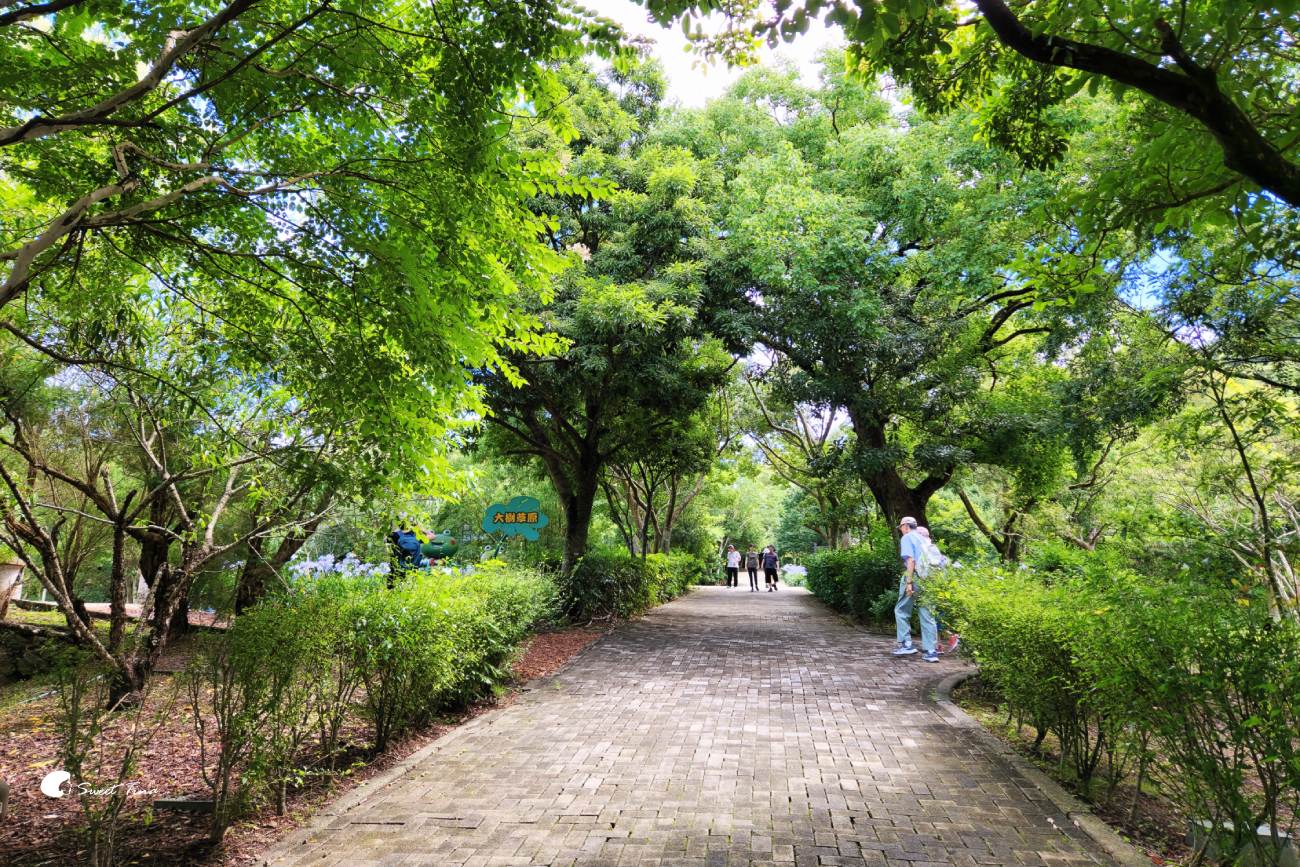 內雙溪自然中心愛情花季|台北賞花景點推薦,漫步森林欣賞浪漫百子蓮 內雙溪自然中心愛情花季|台北賞花景點推薦,漫步森林欣賞浪漫百子蓮