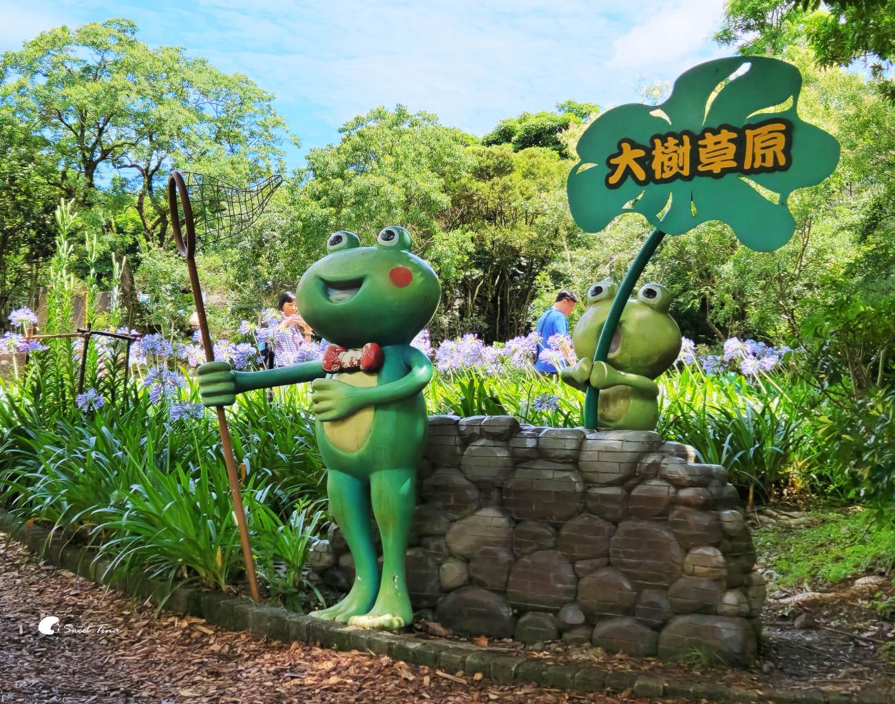 內雙溪自然中心愛情花季|台北賞花景點推薦,漫步森林欣賞浪漫百子蓮 內雙溪自然中心愛情花季|台北賞花景點推薦,漫步森林欣賞浪漫百子蓮