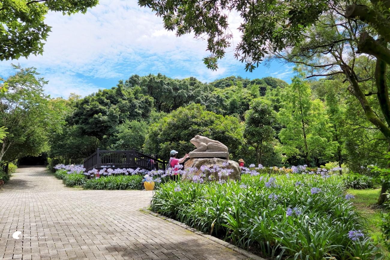 內雙溪自然中心愛情花季|台北賞花景點推薦,漫步森林欣賞浪漫百子蓮 內雙溪自然中心愛情花季|台北賞花景點推薦,漫步森林欣賞浪漫百子蓮