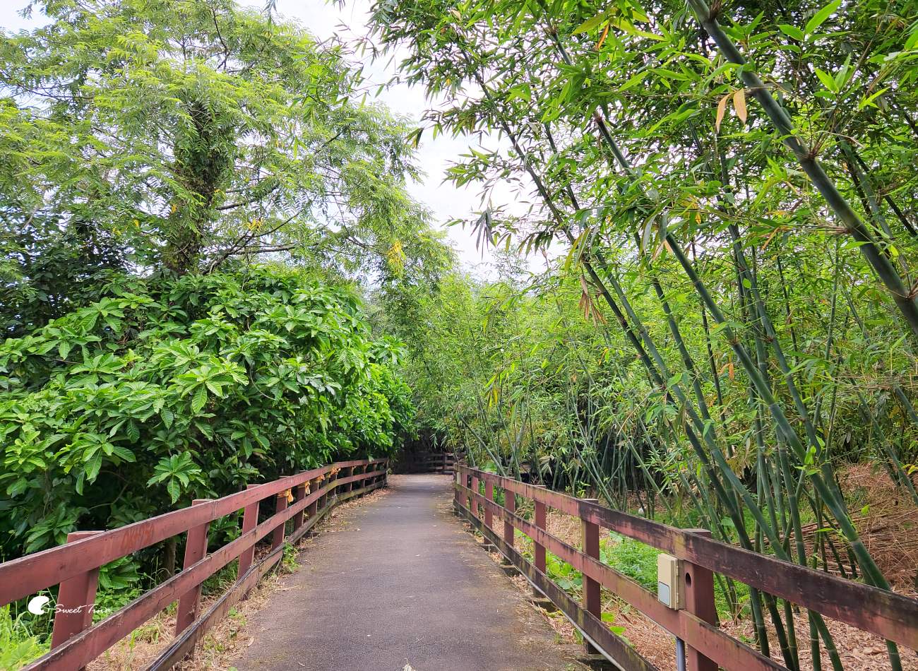舊雙溪河步道|台北步道推薦,輕鬆散步、賞稻田與河岸風光,親子友善、單車路線 舊雙溪河步道|台北步道推薦,輕鬆散步、賞稻田與河岸風光,親子友善、單車路線