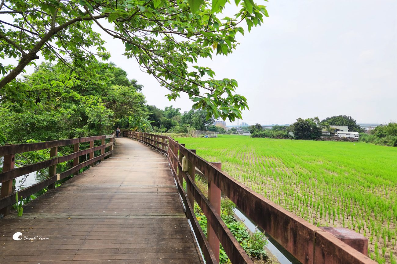 舊雙溪河步道|台北步道推薦,輕鬆散步、賞稻田與河岸風光,親子友善、單車路線 舊雙溪河步道|台北步道推薦,輕鬆散步、賞稻田與河岸風光,親子友善、單車路線