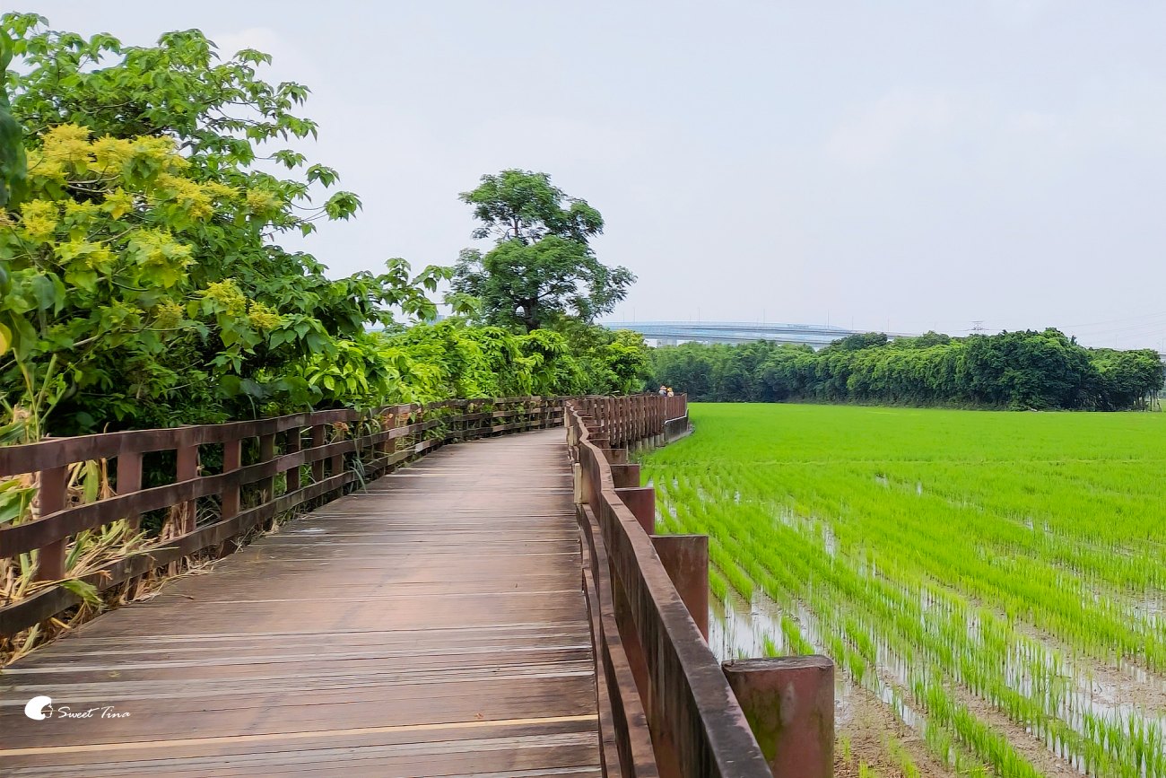 舊雙溪河步道|台北步道推薦,輕鬆散步、賞稻田與河岸風光,親子友善、單車路線 舊雙溪河步道|台北步道推薦,輕鬆散步、賞稻田與河岸風光,親子友善、單車路線