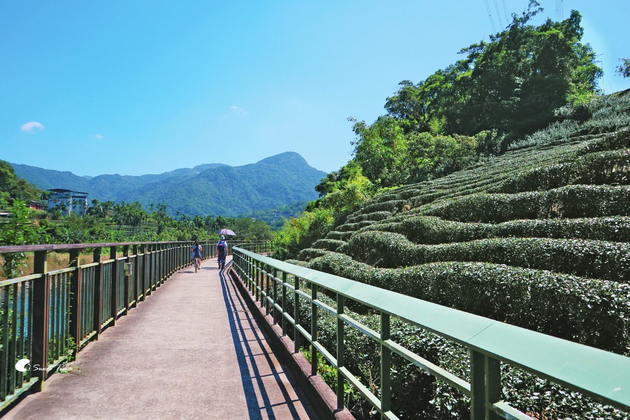 坪林親水公園｜新北親子踏青、野餐、騎自行車的自然系放鬆景點