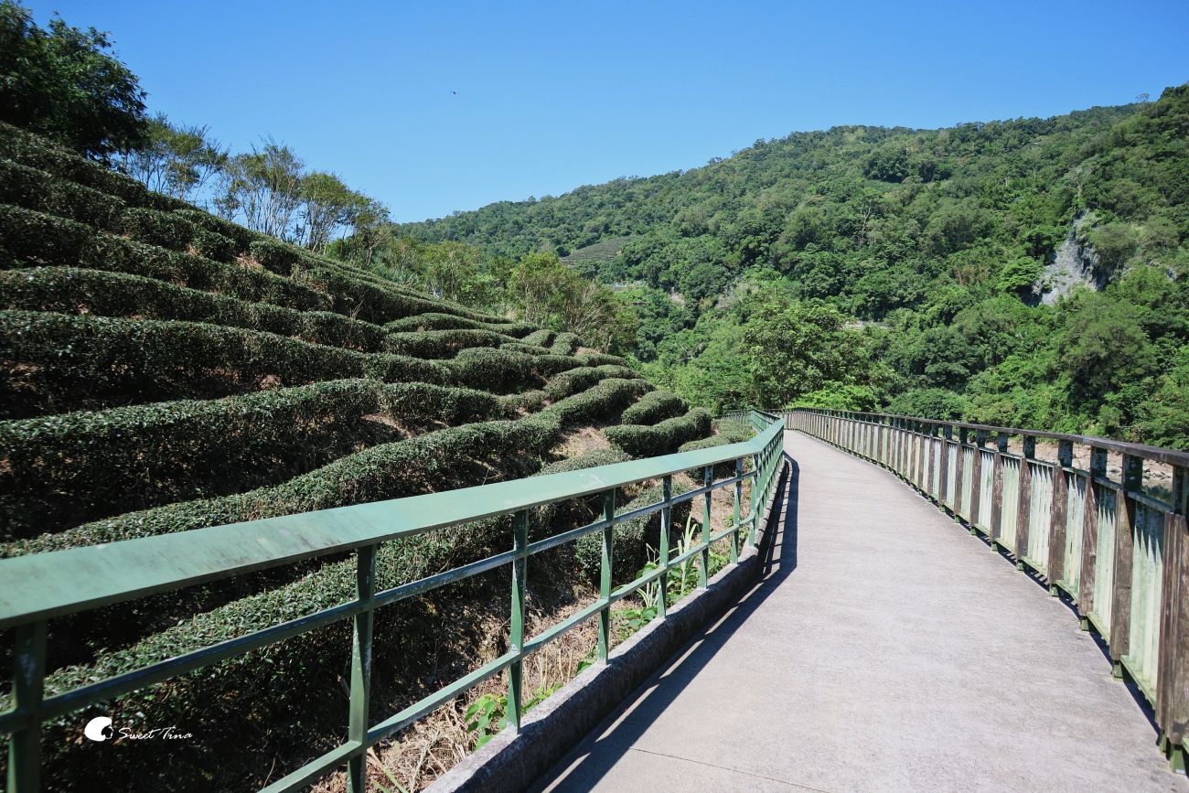 坪林親水公園｜新北親子踏青、野餐、騎自行車的自然系放鬆景點