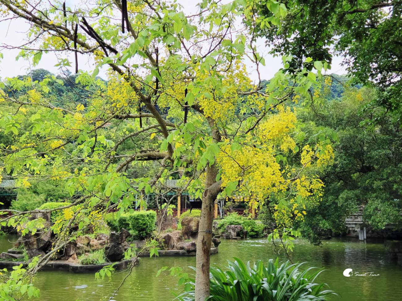 士林雙溪公園, 彷彿穿越時空來到古式庭園 士林雙溪公園, 彷彿穿越時空來到古式庭園